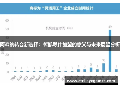 阿森纳转会新选择：哲凯赖什加盟的意义与未来展望分析